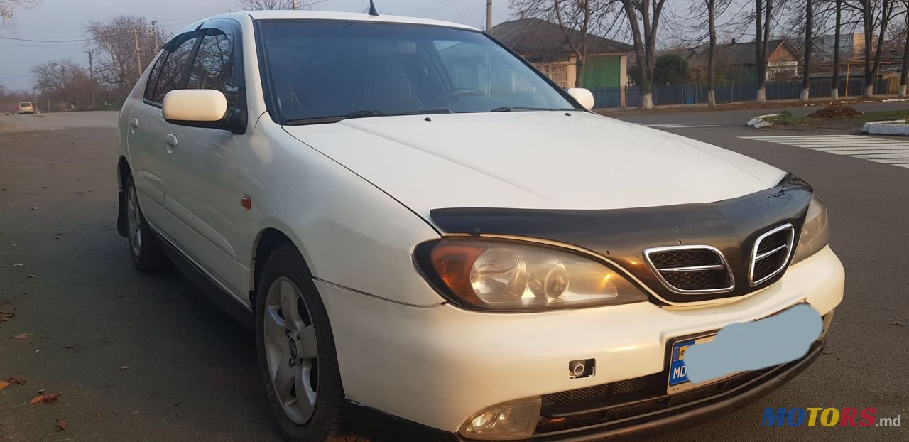 2001' Nissan Primera photo #4