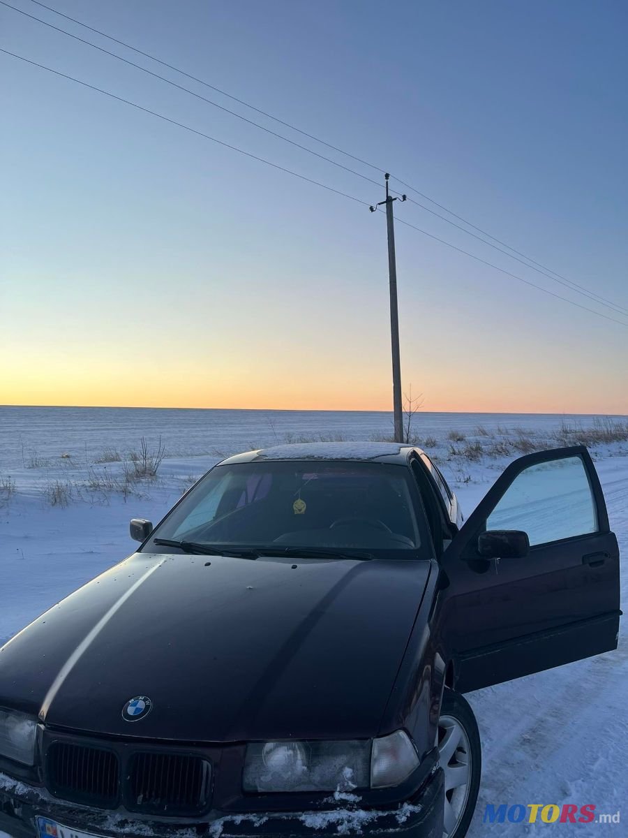 1994' BMW 3 Series photo #4