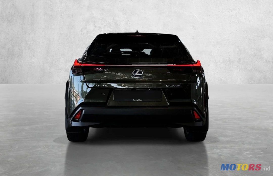 2021' Lexus UX 300e photo #2