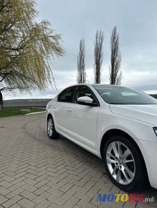 2018' Skoda Octavia photo #2