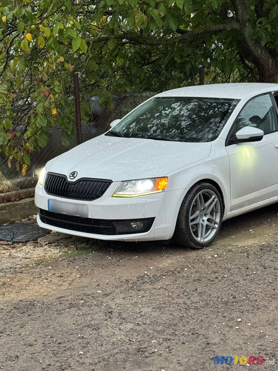 2013' Skoda Octavia photo #4