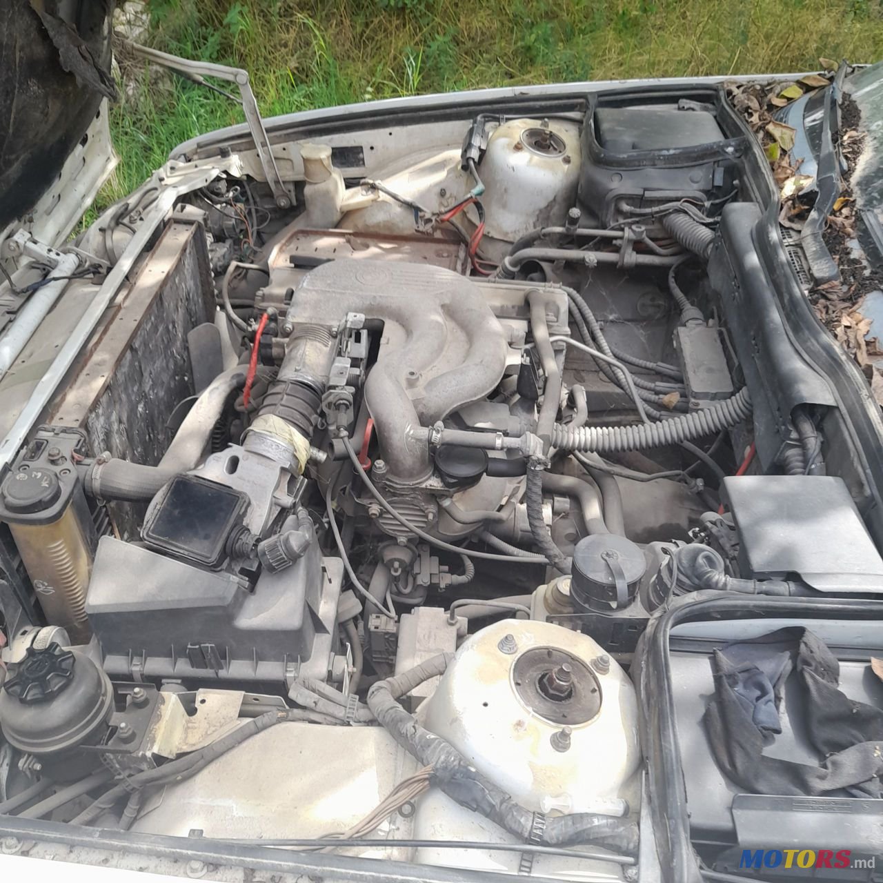 1994' BMW 5 Series photo #3