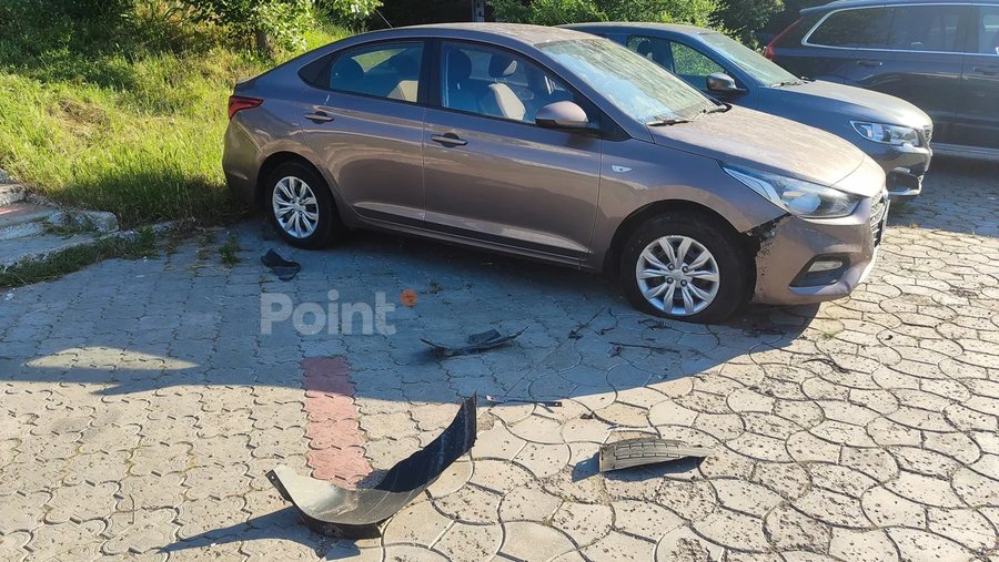 В Кишиневе бродячие собаки повредили припаркованный автомобиль
