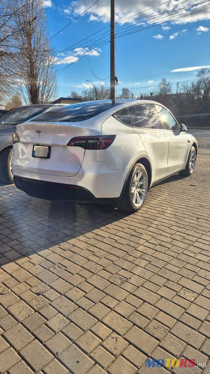 2023' Tesla Model Y photo #4