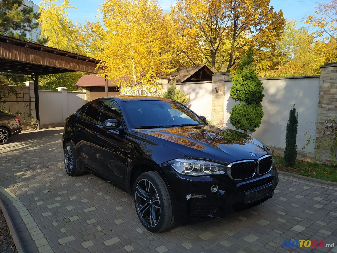 2019' BMW X6 photo #4