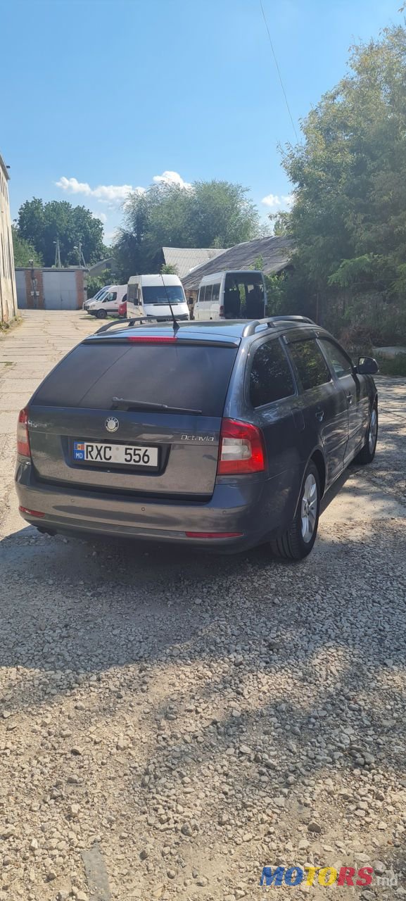 2009' Skoda Octavia photo #3