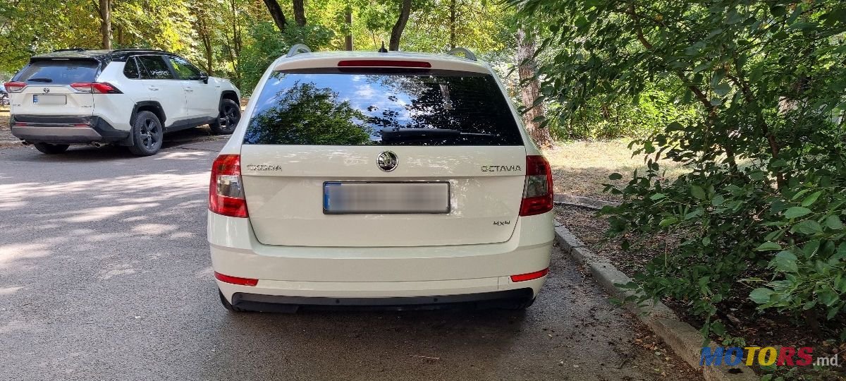 2019' Skoda Octavia photo #4