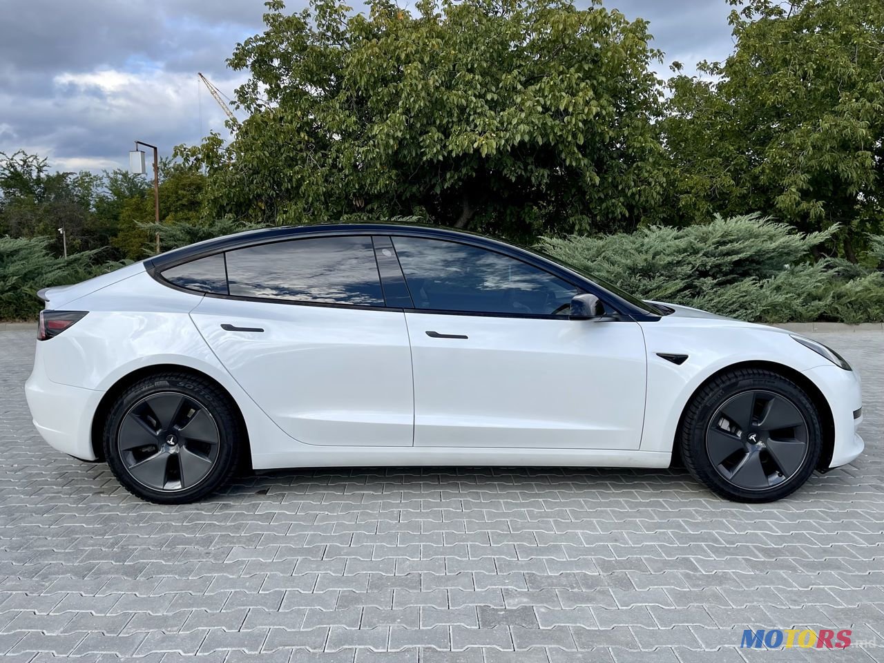 2021' Tesla Model 3 photo #5