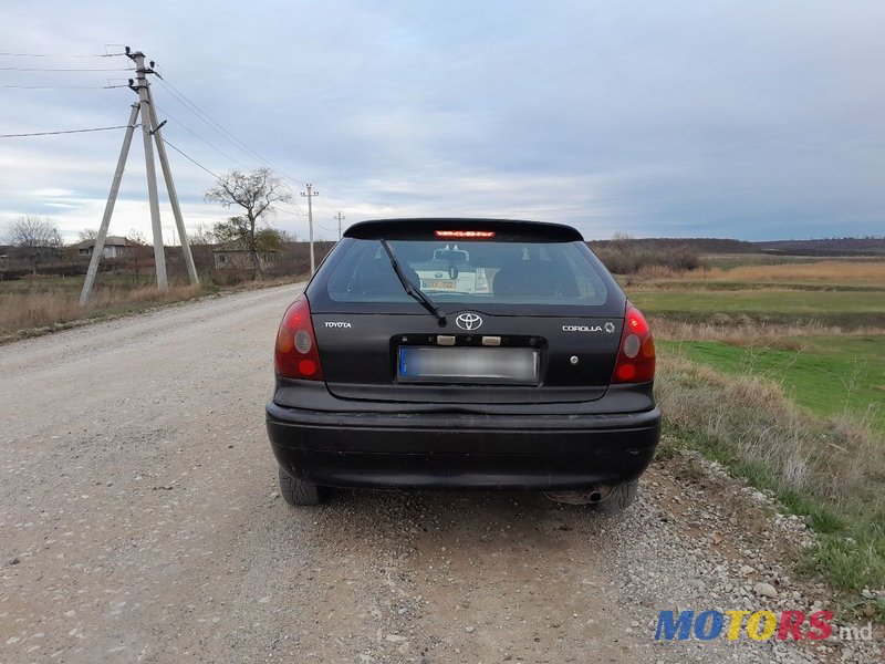 1999' Toyota Corolla photo #3