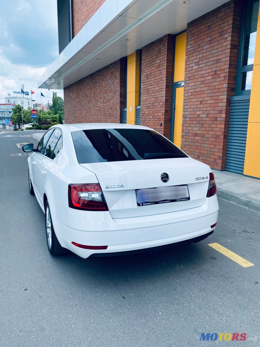 2018' Skoda Octavia photo #4