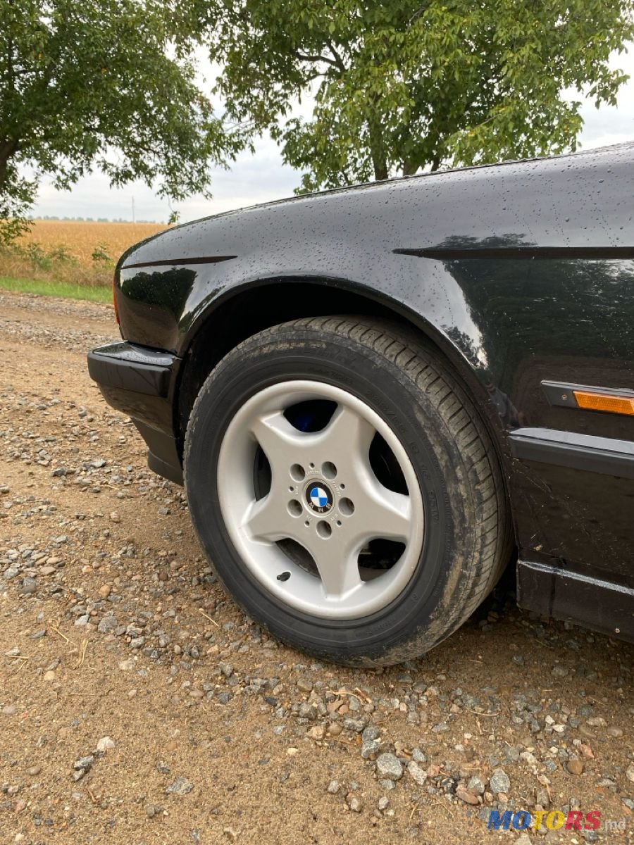 1995' BMW 5 Series photo #4