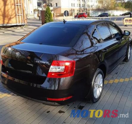 2019' Skoda Octavia photo #4