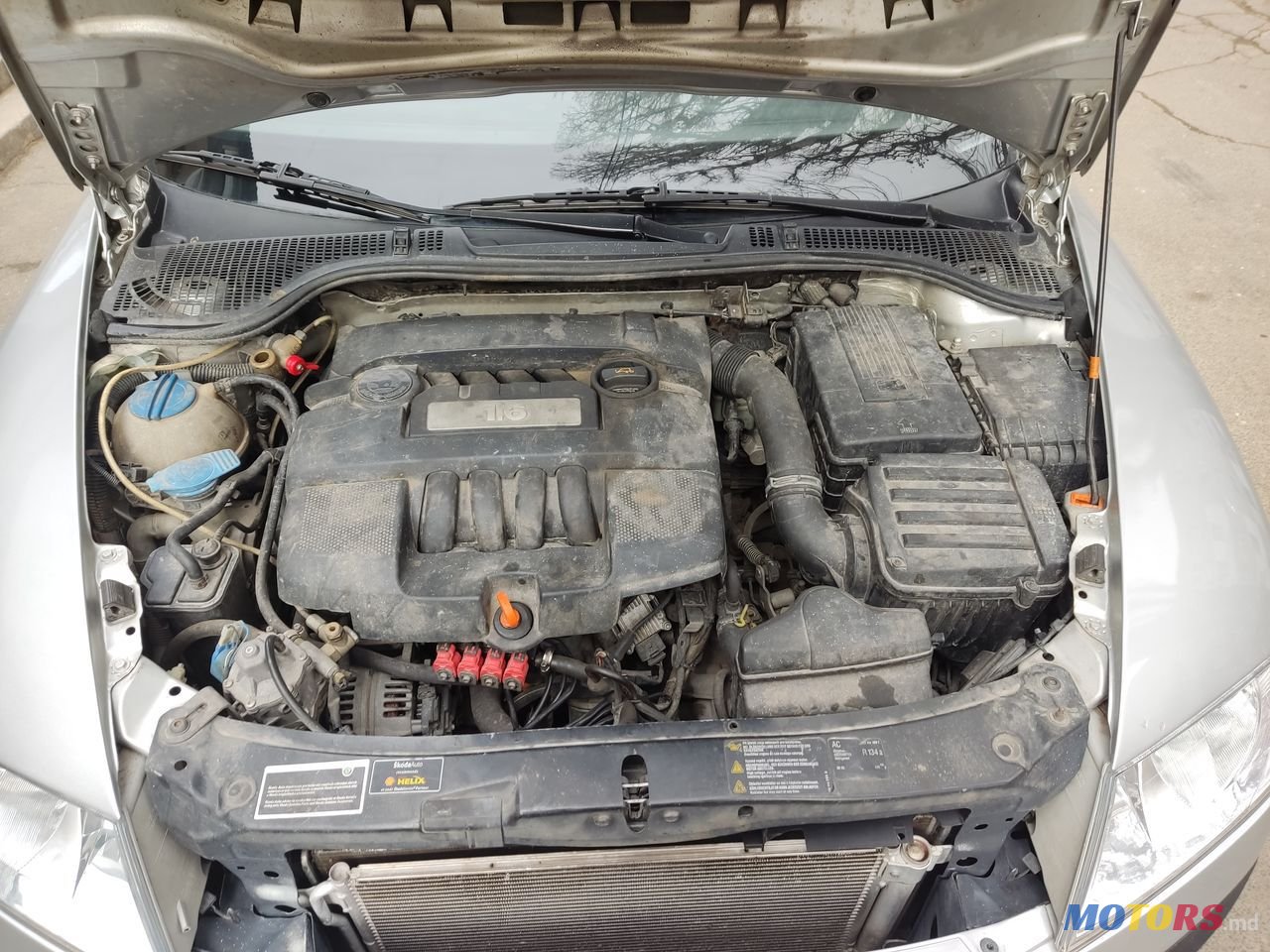 2007' Skoda Octavia photo #5