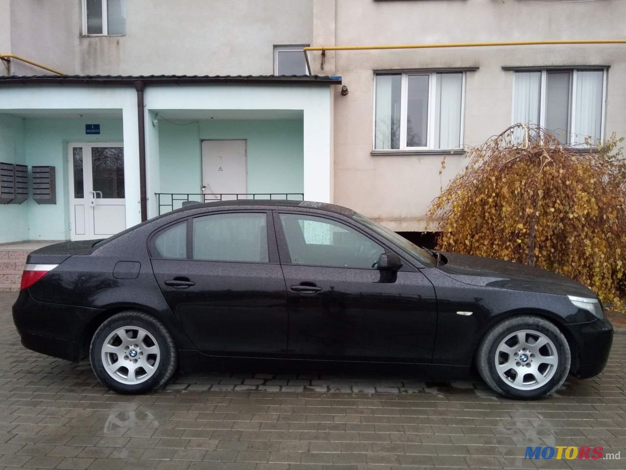 2004' BMW 5 Series photo #5