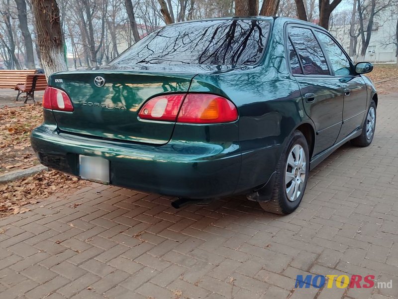 2000' Toyota Corolla photo #2