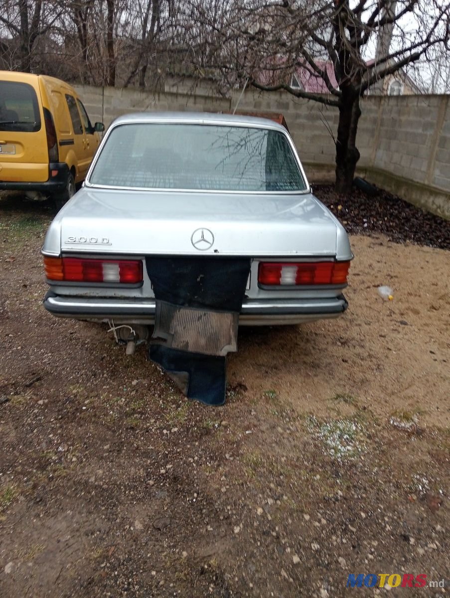 1981' Mercedes-Benz W123 photo #2