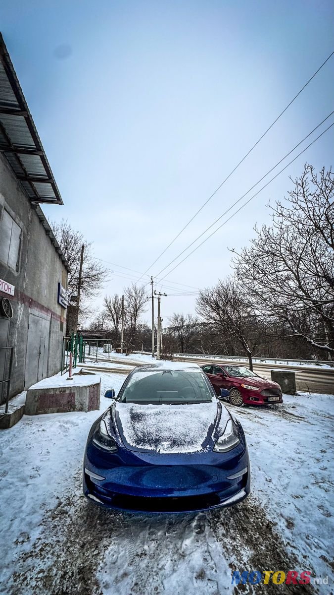 2023' Tesla Model 3 photo #2