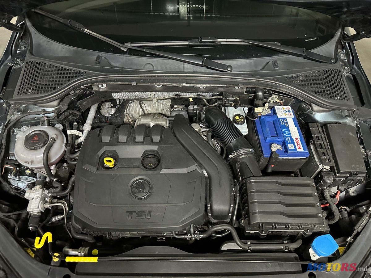 2019' Skoda Octavia photo #4