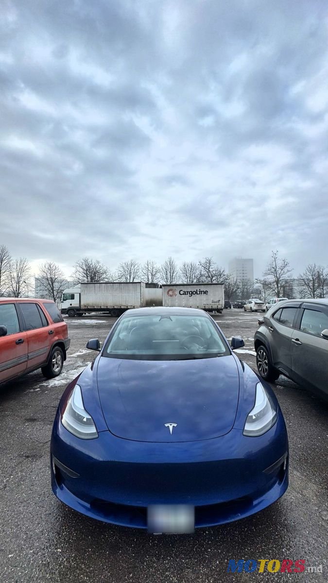 2023' Tesla Model 3 photo #1