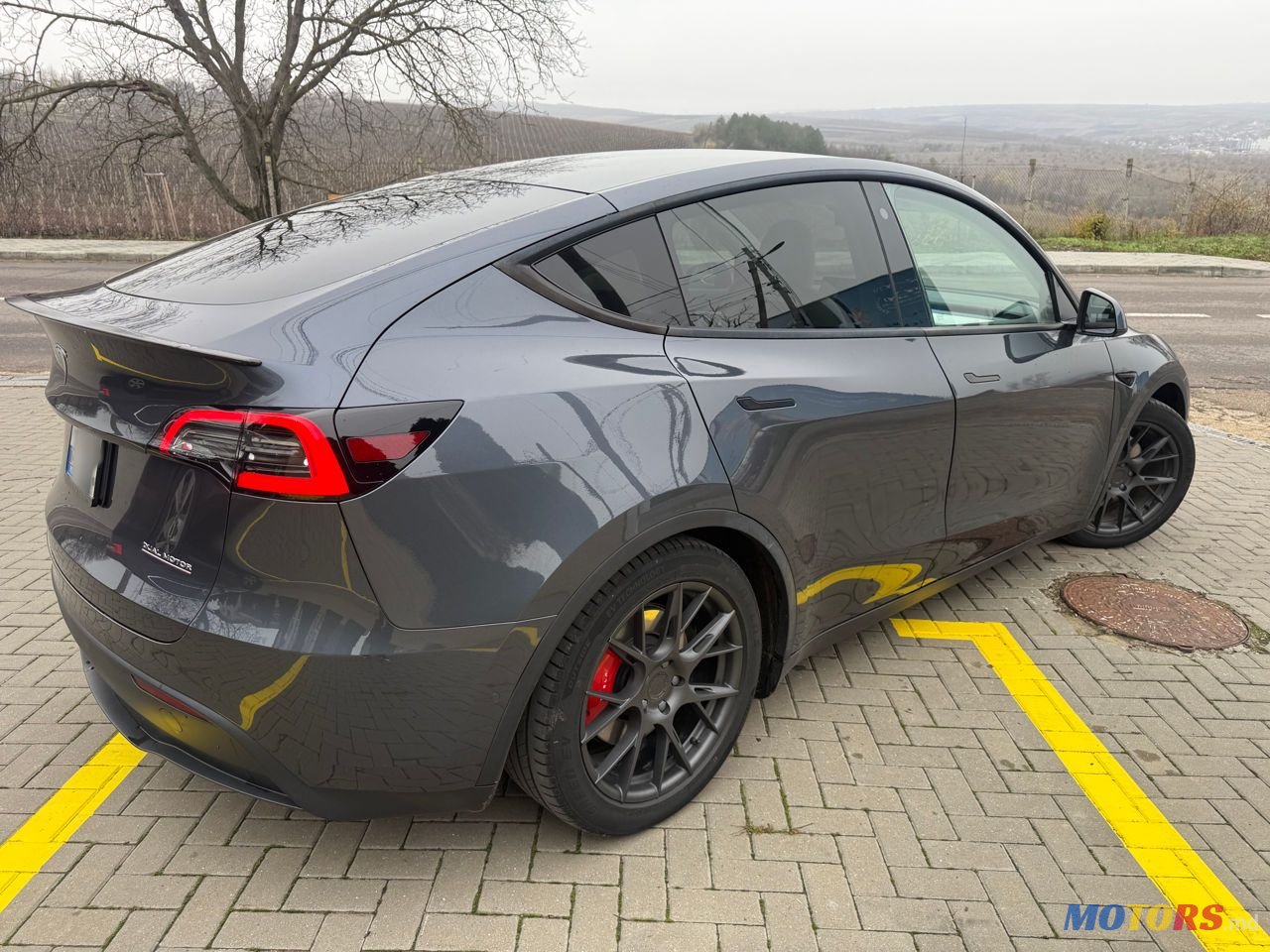 2020' Tesla Model Y photo #3