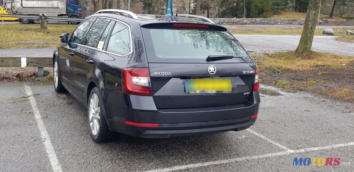 2017' Skoda Octavia photo #2