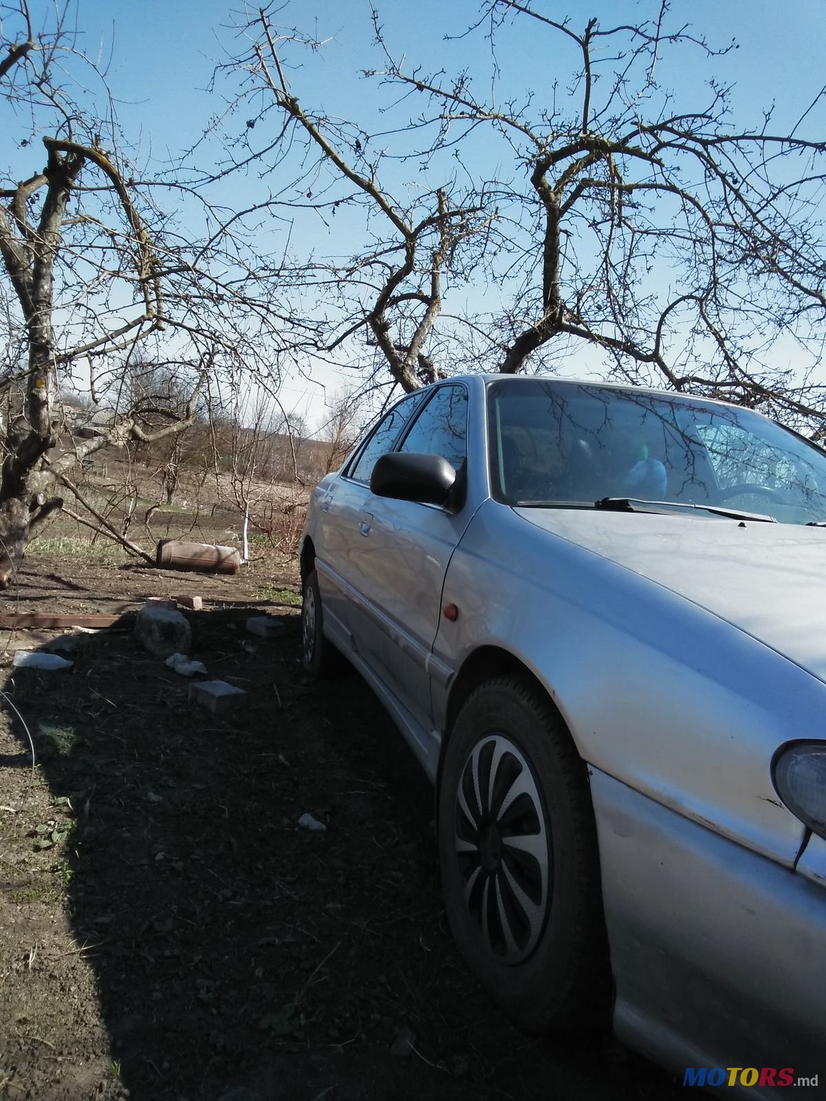 1994' Hyundai Lantra photo #2