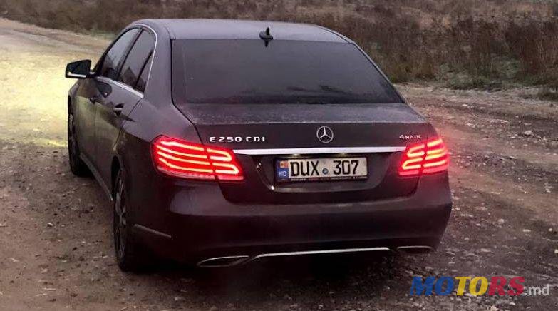 2013' Mercedes-Benz E photo #1