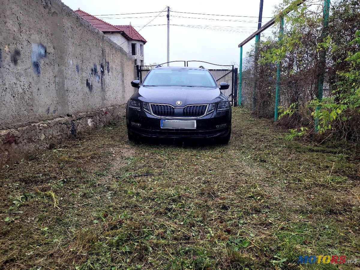 2018' Skoda Octavia photo #1