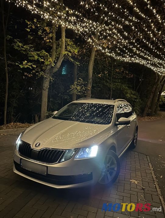 2017' Skoda Octavia photo #2
