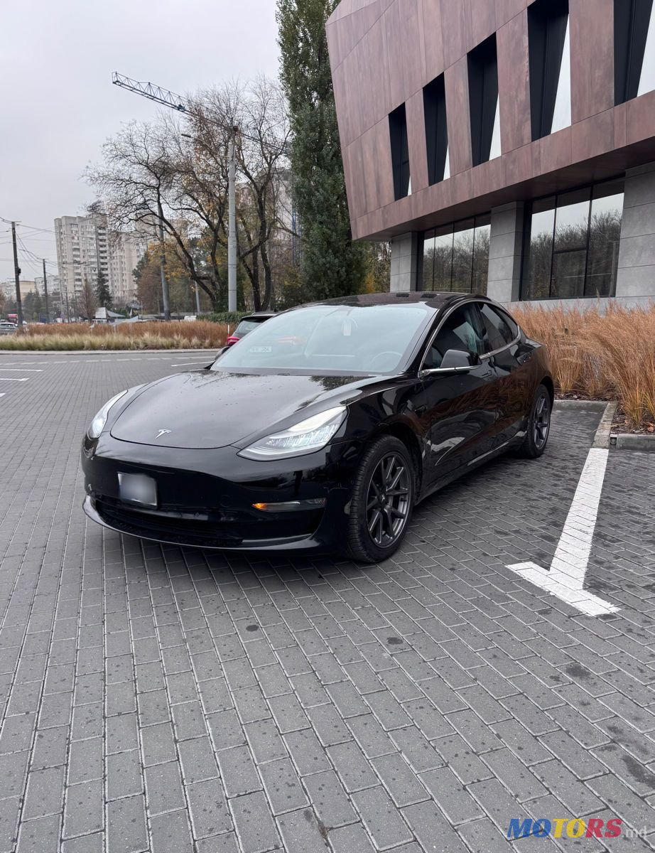 2019' Tesla Model 3 photo #1
