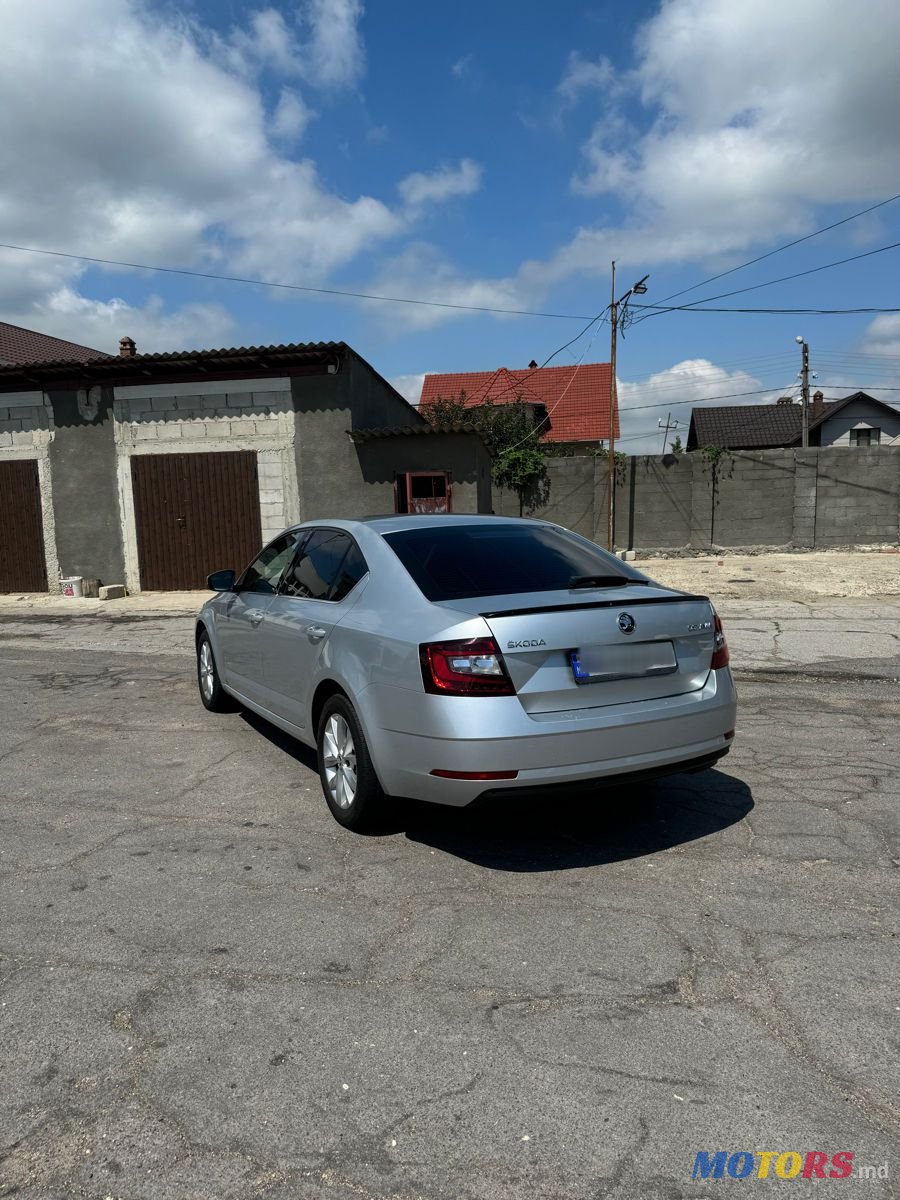 2017' Skoda Octavia photo #4