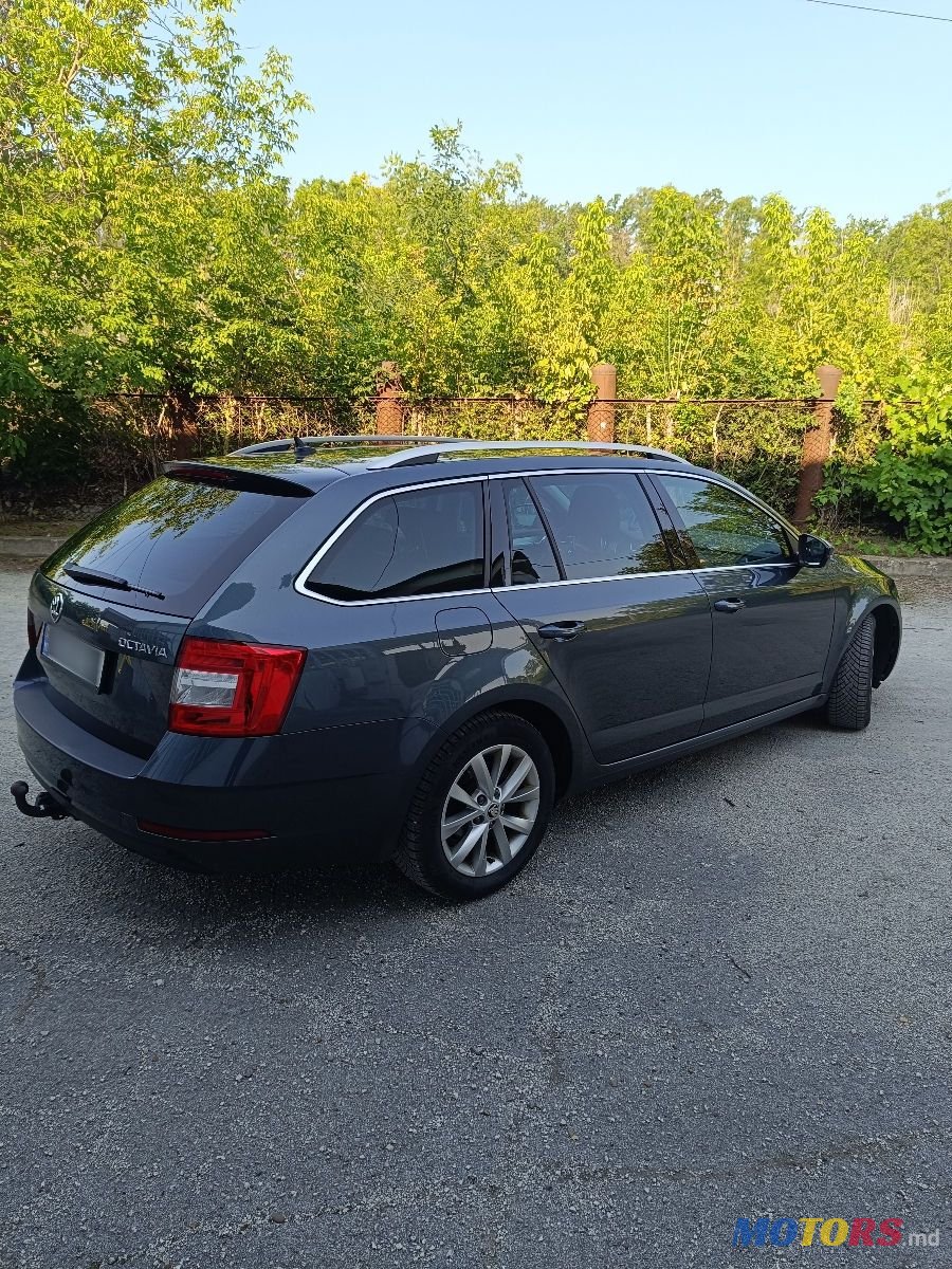 2019' Skoda Octavia photo #5