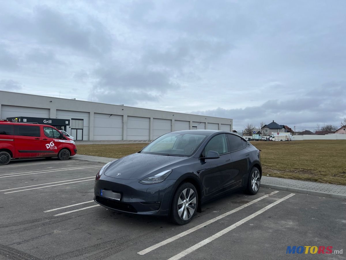 2023' Tesla Model Y photo #1