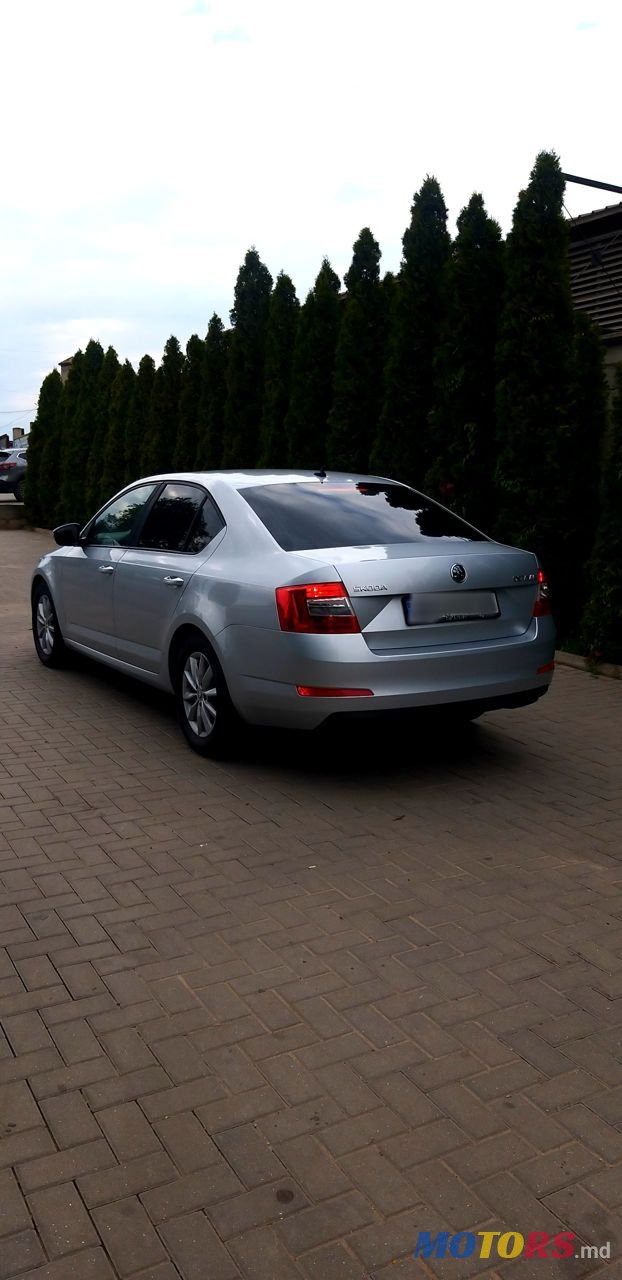 2015' Skoda Octavia photo #2