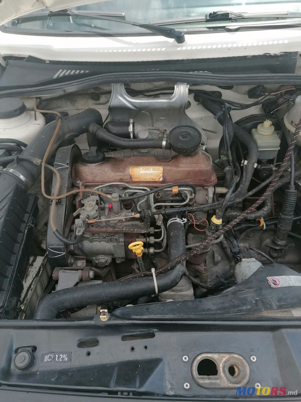 1992' Volkswagen Golf photo #1