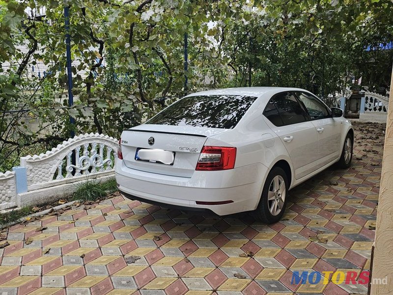 2019' Skoda Octavia photo #1