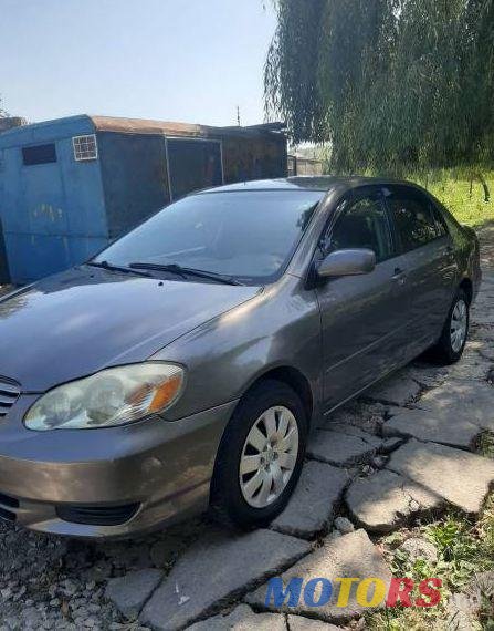 2004' Toyota Corolla photo #1