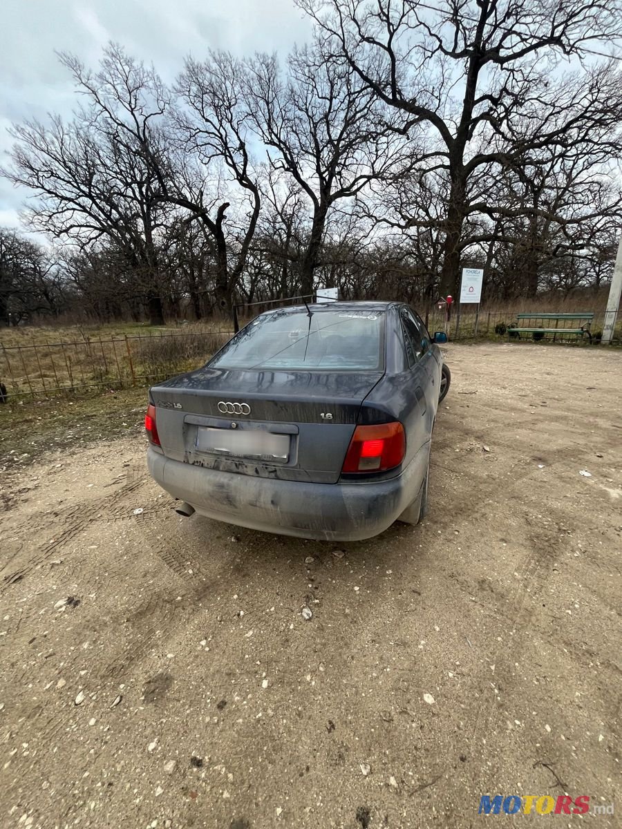 1976' Audi A4 photo #3