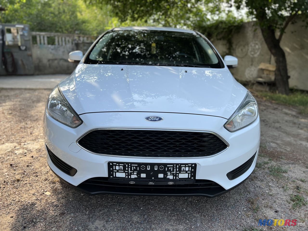 2015' Ford Focus photo #1