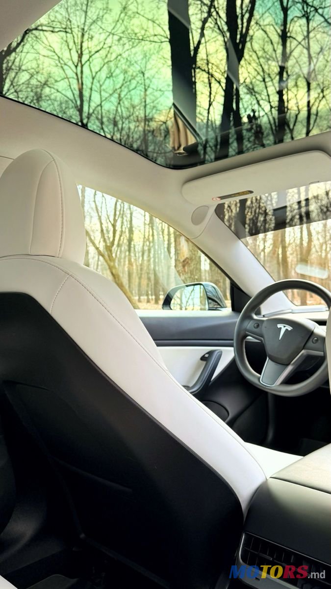 2020' Tesla Model 3 photo #6