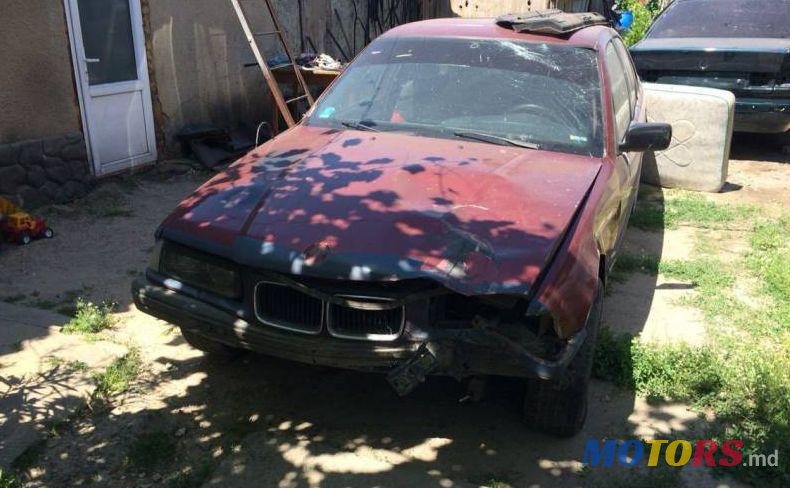1995' BMW 3 photo #3