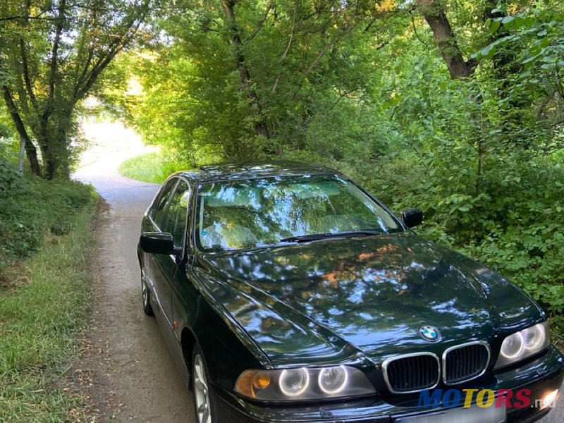 2002' BMW 5 Series photo #3