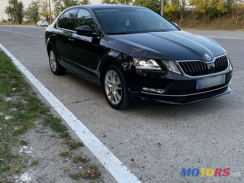 2017' Skoda Octavia photo #6