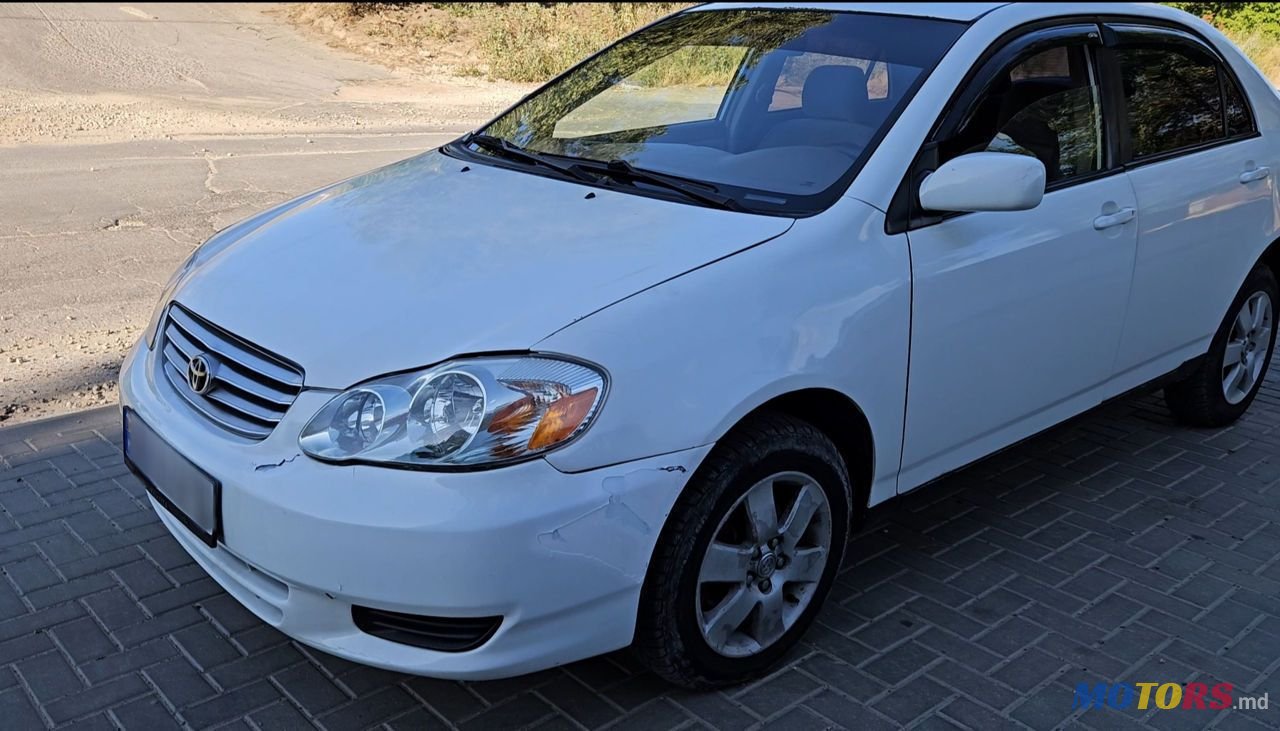 2004' Toyota Corolla photo #6