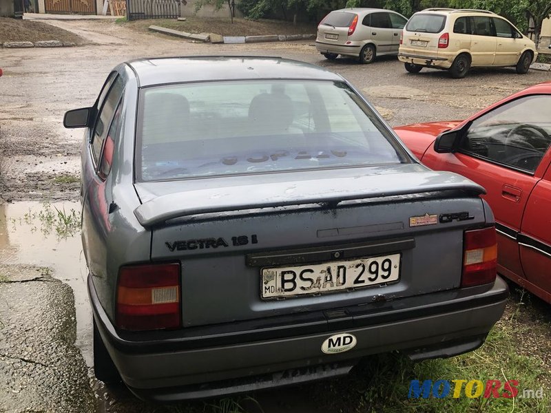 1991' Opel Vectra photo #4