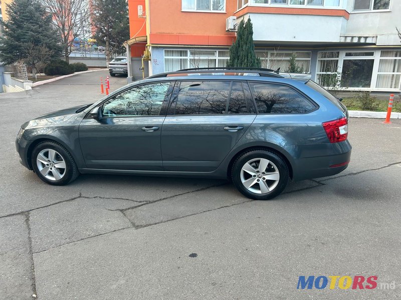 2017' Skoda Octavia photo #6
