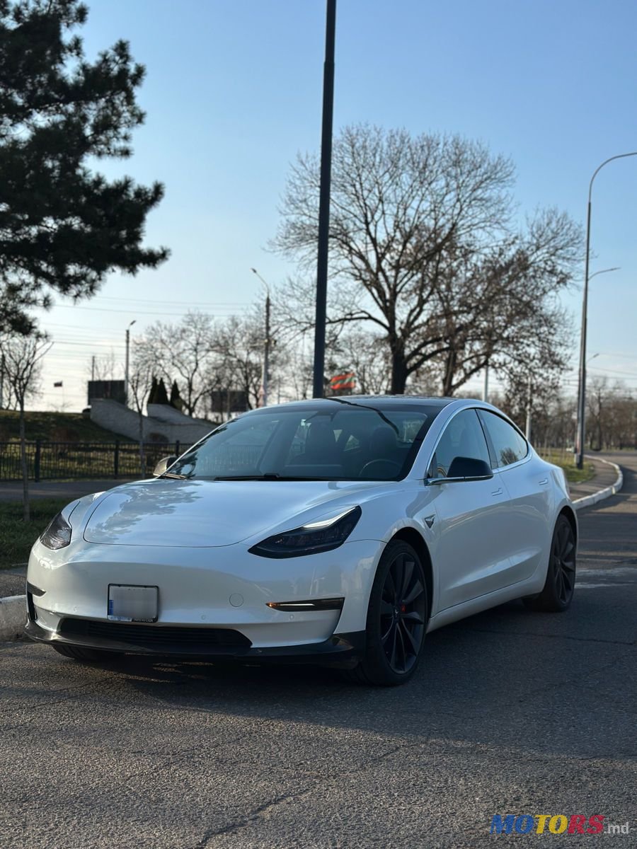 2019' Tesla Model 3 photo #1