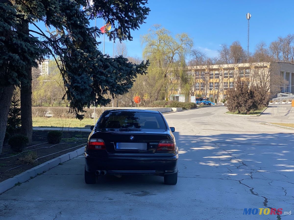 2002' BMW 5 Series photo #5