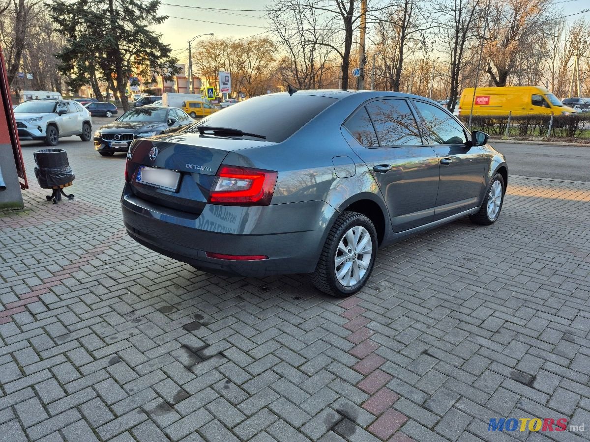 2017' Skoda Octavia photo #4