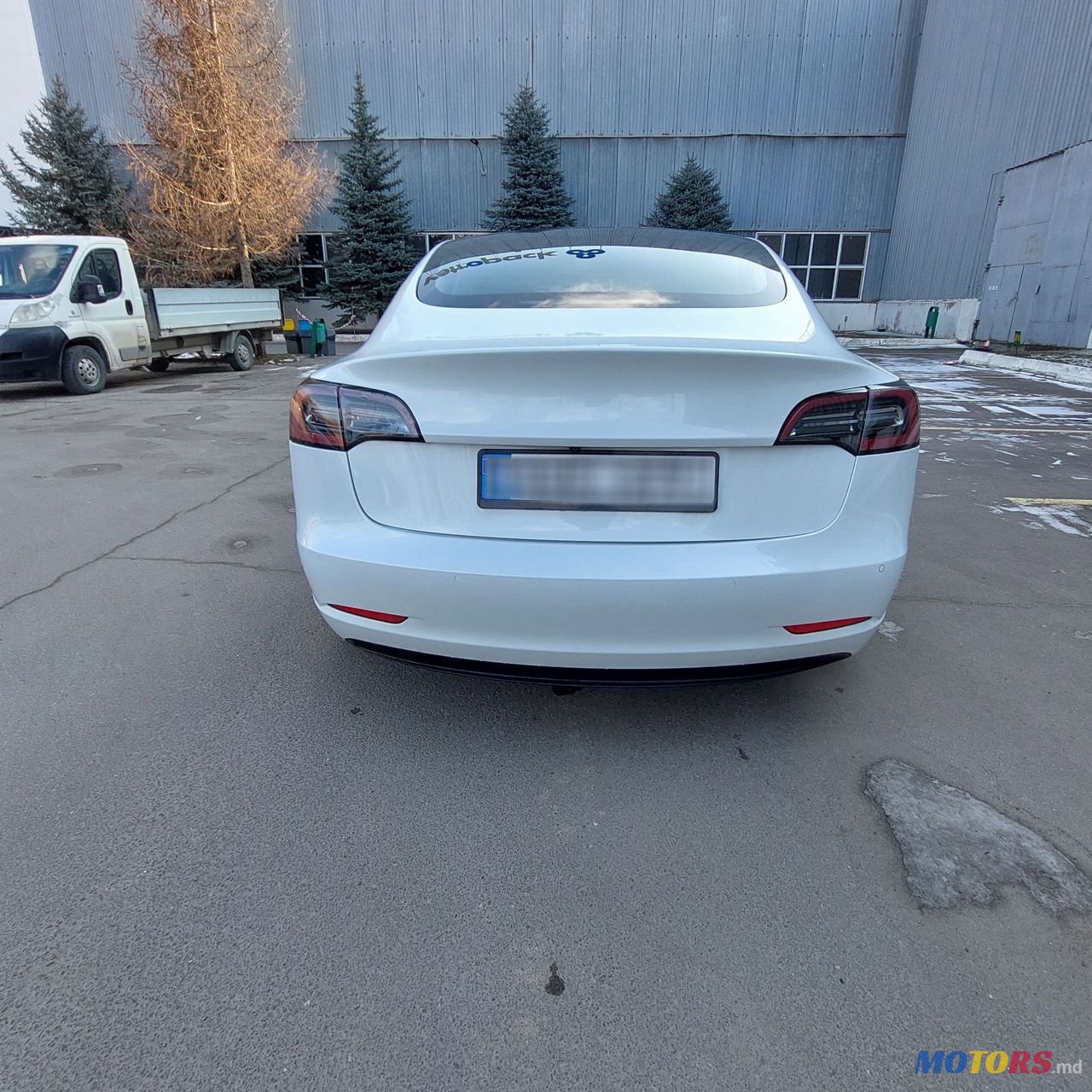 2020' Tesla Model 3 photo #6